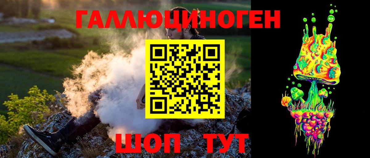 Псилоцибиновые грибы Psilocybine cubensis Новоуральск
