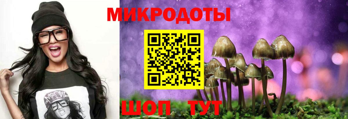 Новоуральск  Галлюциногенные грибы Psilocybe  Галлюциногенные грибы Psilocybe  Вход с VPN 
